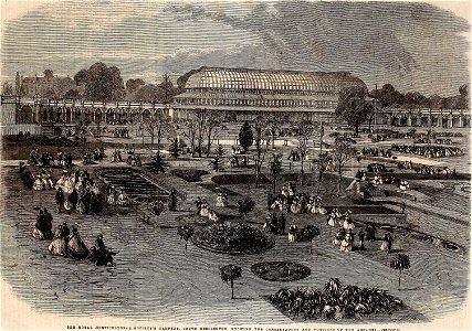 The Royal Horticultural Society's Gardens, South Kensington, showing the Conservatory and Portions of the Arcades - ILN 1861. Free illustration for personal and commercial use.