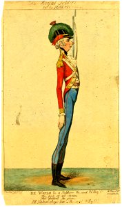 The Royal soldier in his majesty's service (BM 1868,0808.6729)
