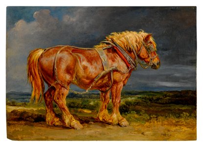 The Shire Horse Elephant in an Extensive Landscape )