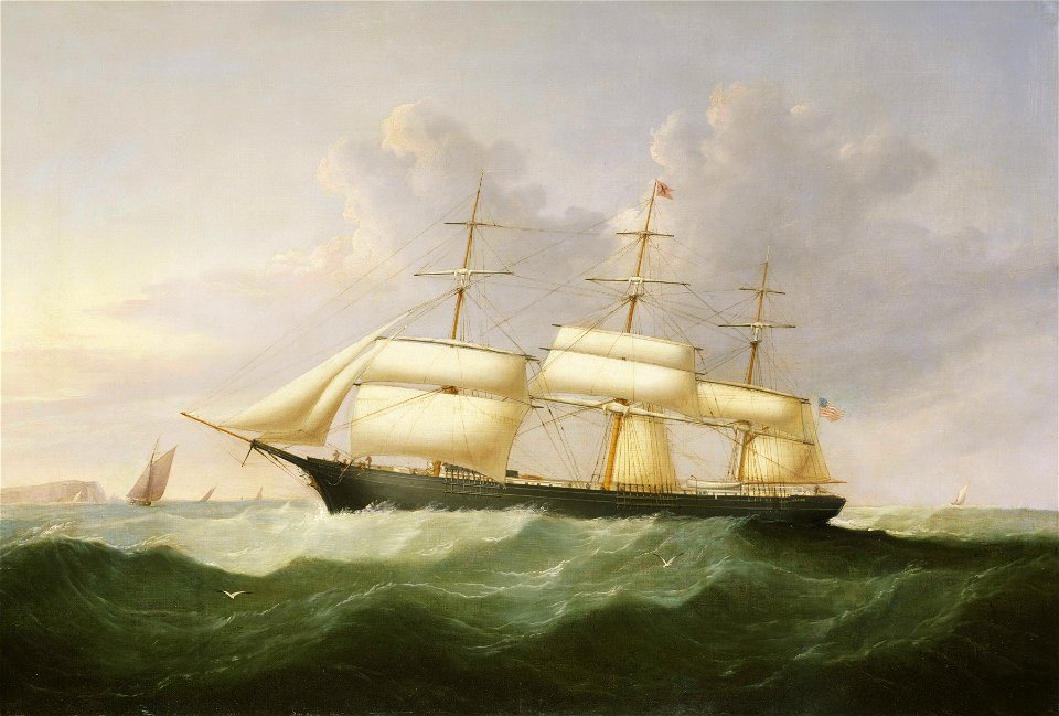 The ship Palestine RMG BHC3533