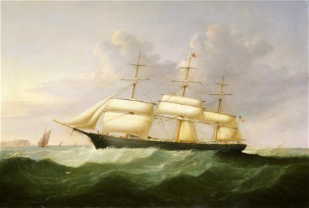The ship Palestine RMG BHC3533