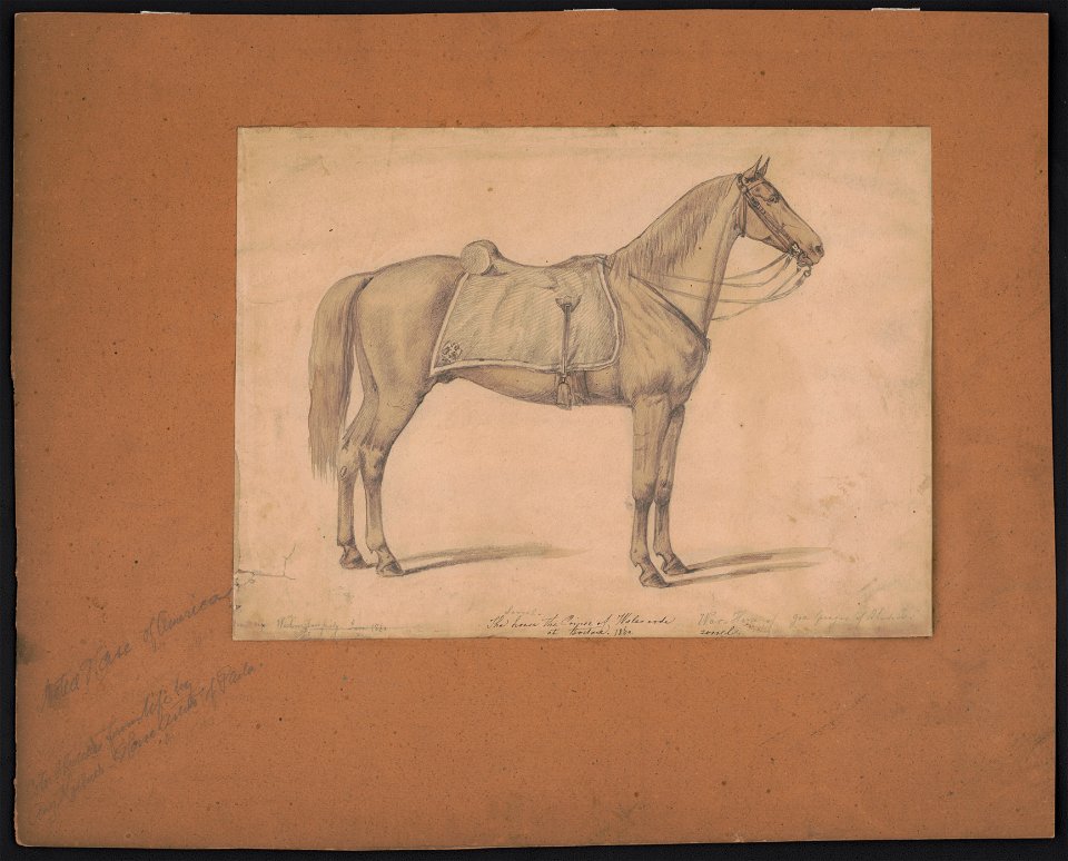 The sorrel horse the Prince of Wales rode at Boston, 1860 LCCN2016649143