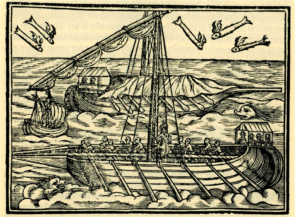 The ships which took Salomon Schweigger and the other members of the diplomatic mission to the Holy Land - Schweigger Salomon - 1608