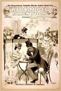 The sensational comedy-drama taken from life, Kidnapped in New York by Howard Hall. LCCN2014636475