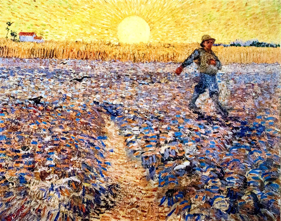 The Sower - My Dream