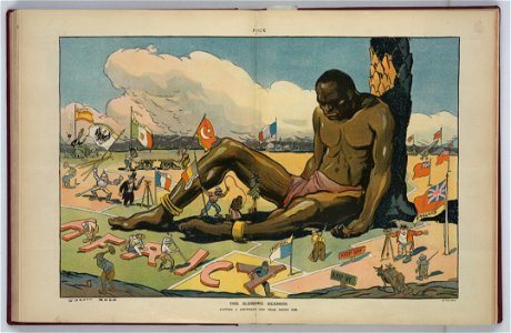 The sleeping sickness - Gordon Ross. LCCN2011649074