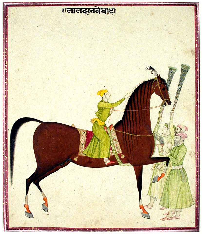 The stallion Laldan Bebaha (6125105202)