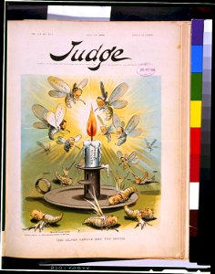 The silver candle and the moths - Hamilton. LCCN96506406