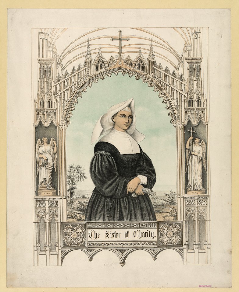 The sister of charity LCCN2003681746