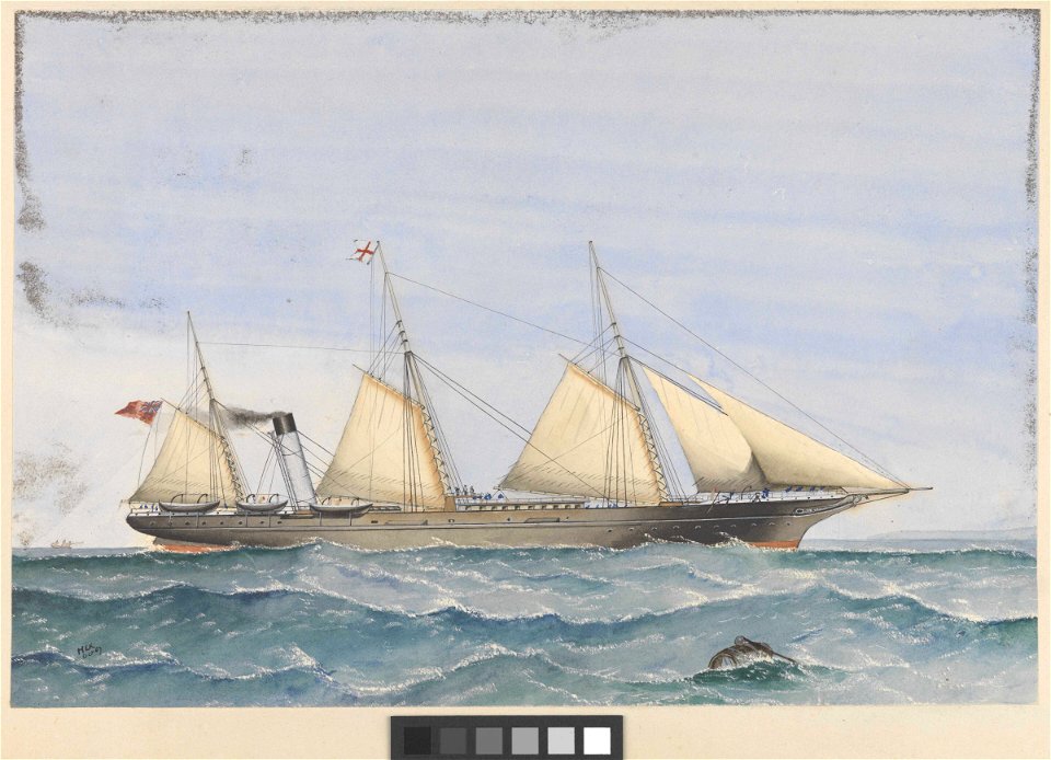 The steam vessel Gannet RMG PY0342