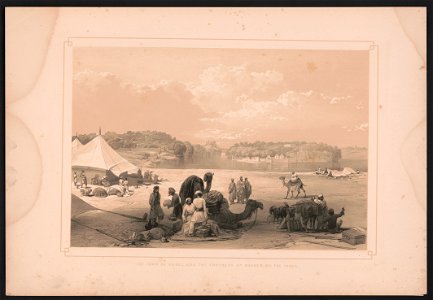 The town of Roree and the fortress of Bukker, on the Indus LCCN2016647827