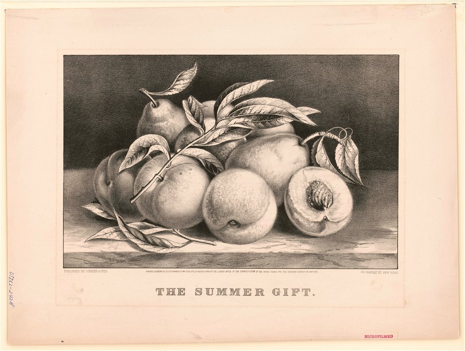 The summer gift LCCN2002695751