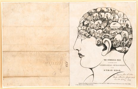 The Symbolical head, illustrating all the phrenological developements of the human head LCCN90713998