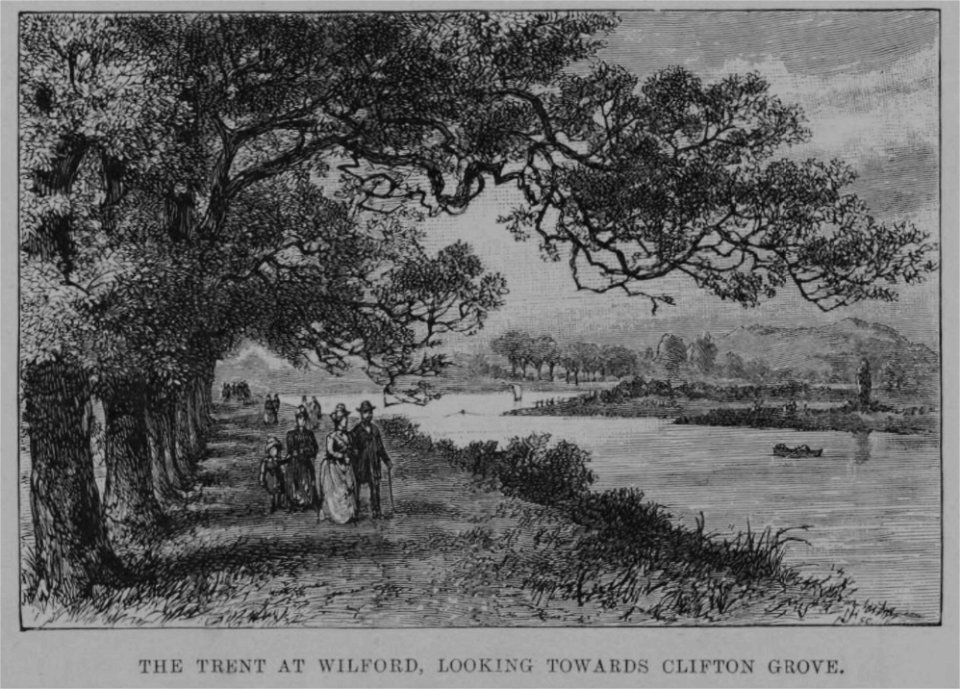The Trent at Wilford, looking towards Clifton Grove