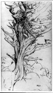The torse of the witch LCCN2003666215