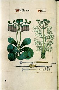 The Tudor pattern book MS. Ashmole 1504 27