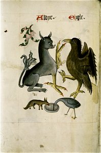 The Tudor pattern book MS. Ashmole 1504 56