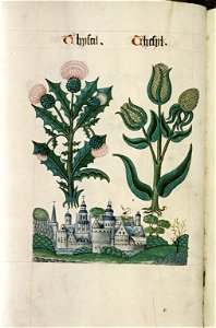 The Tudor pattern book MS. Ashmole 1504 33