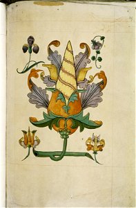 The Tudor pattern book MS. Ashmole 1504 53