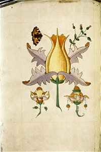 The Tudor pattern book MS. Ashmole 1504 54