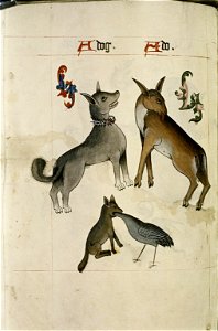 The Tudor pattern book MS. Ashmole 1504 62