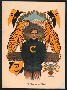 The tigers, Colorado-Springs. LCCN2014649586