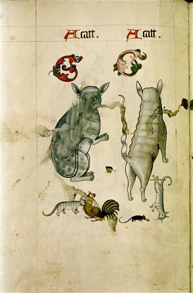 The Tudor pattern book MS. Ashmole 1504 60