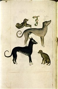 The Tudor pattern book MS. Ashmole 1504 64