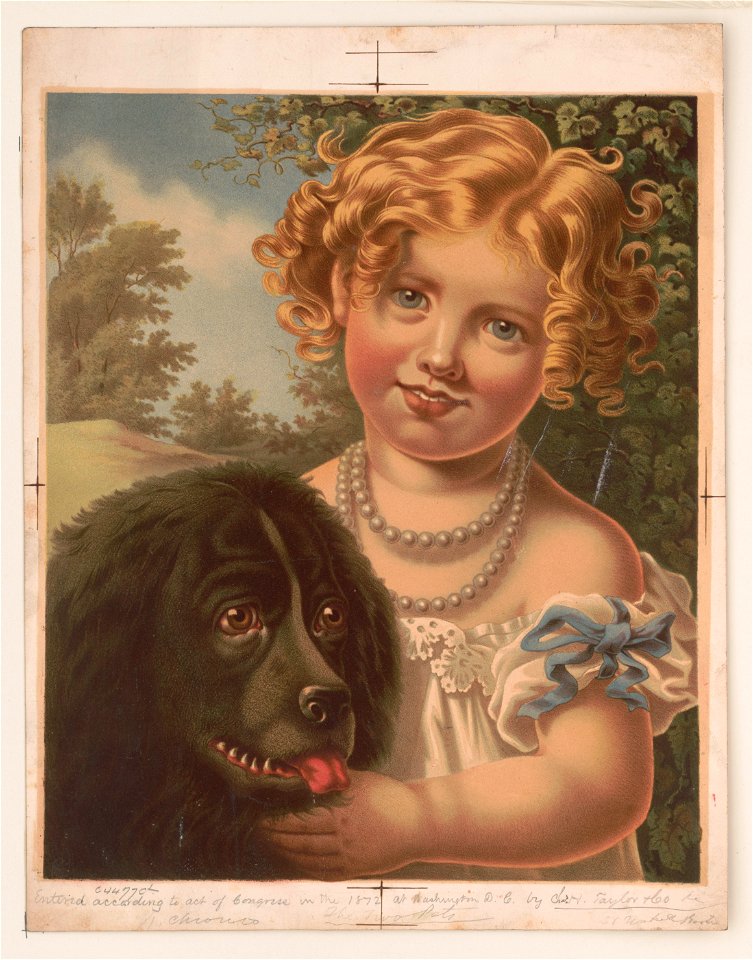 The two pets LCCN2003689337