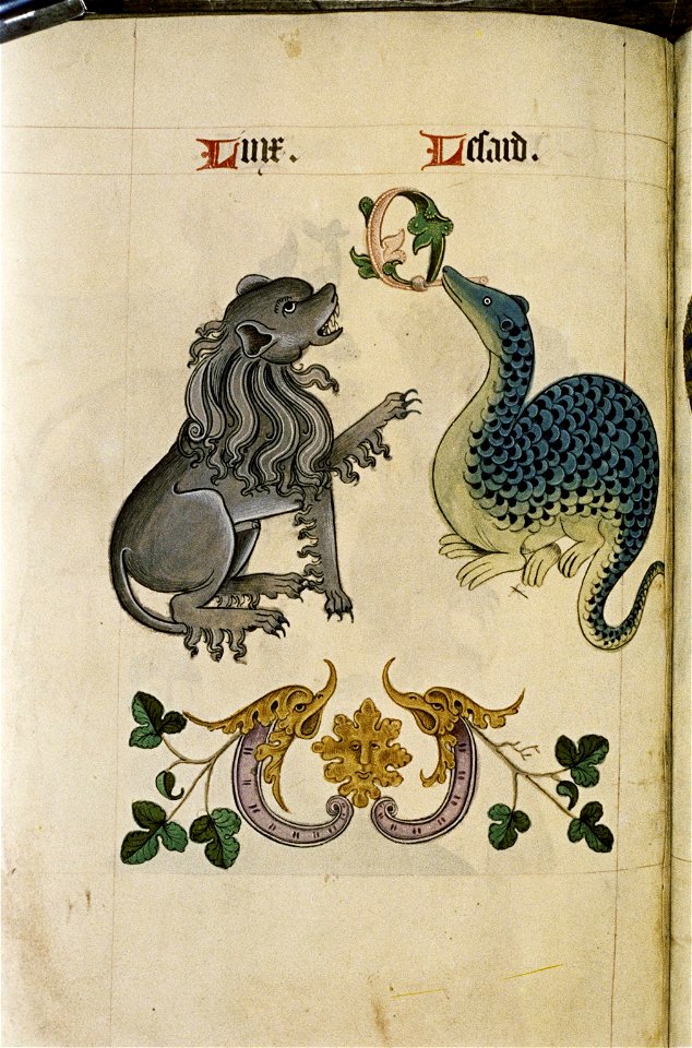 The Tudor pattern book MS. Ashmole 1504 74