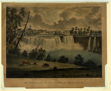 The upper falls of the Genesee at Rochester, N.Y., from the east - J. Young, del., from nature ; on stone by J.H. Bufford. LCCN2005693034