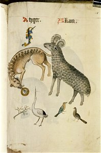 The Tudor pattern book MS. Ashmole 1504 77