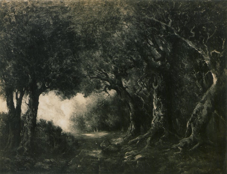 The upland road (HS85-10-24516)