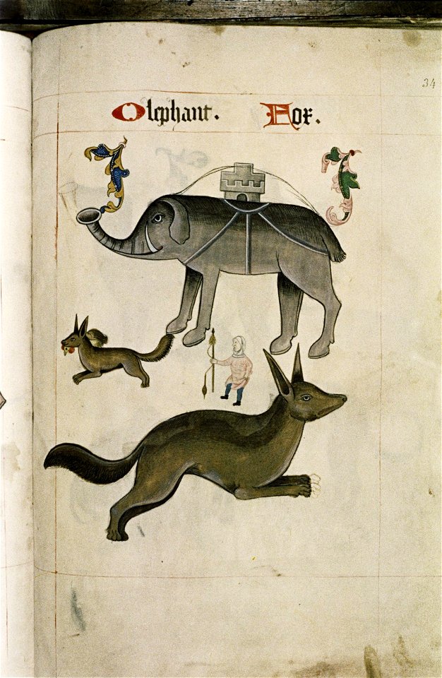 The Tudor pattern book MS. Ashmole 1504 63