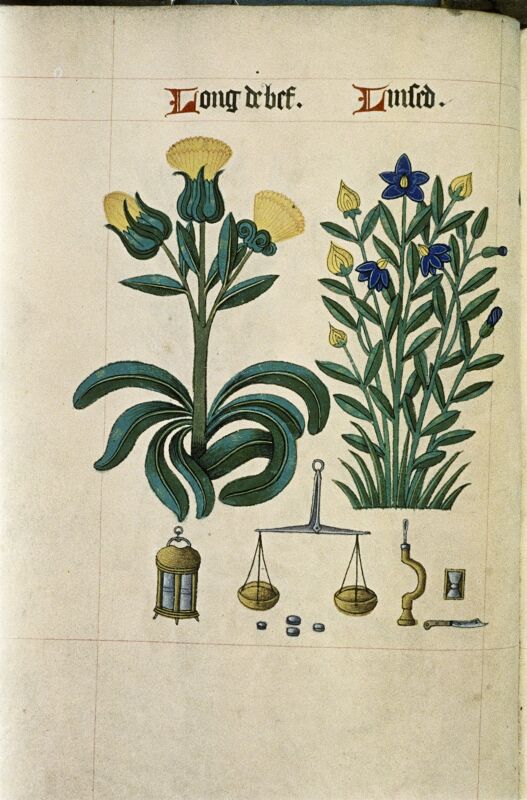 The Tudor pattern book MS. Ashmole 1504 21