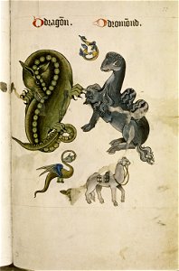 The Tudor pattern book MS. Ashmole 1504 61