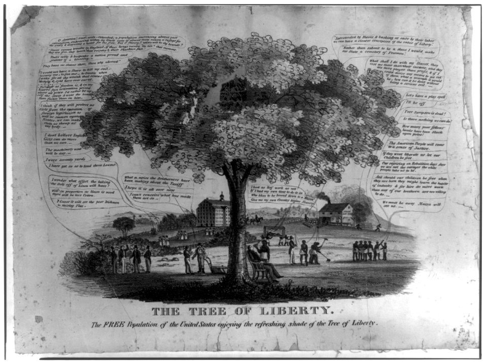 The tree of liberty. The free population of the United States enjoying the refreshing shade of the tree of liberty LCCN2008661469