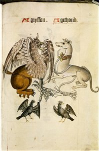 The Tudor pattern book MS. Ashmole 1504 65