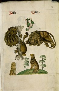 The Tudor pattern book MS. Ashmole 1504 73