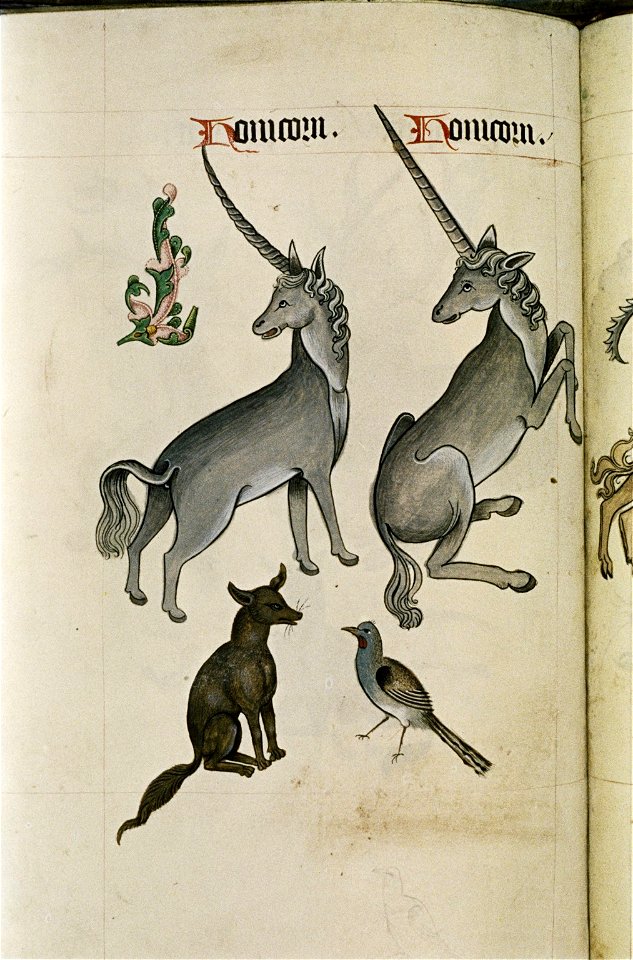 The Tudor pattern book MS. Ashmole 1504 70