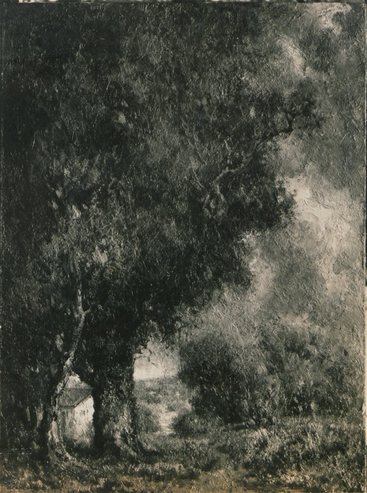 The valley (HS85-10-24506)