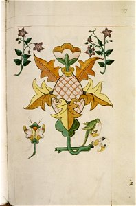 The Tudor pattern book MS. Ashmole 1504 49