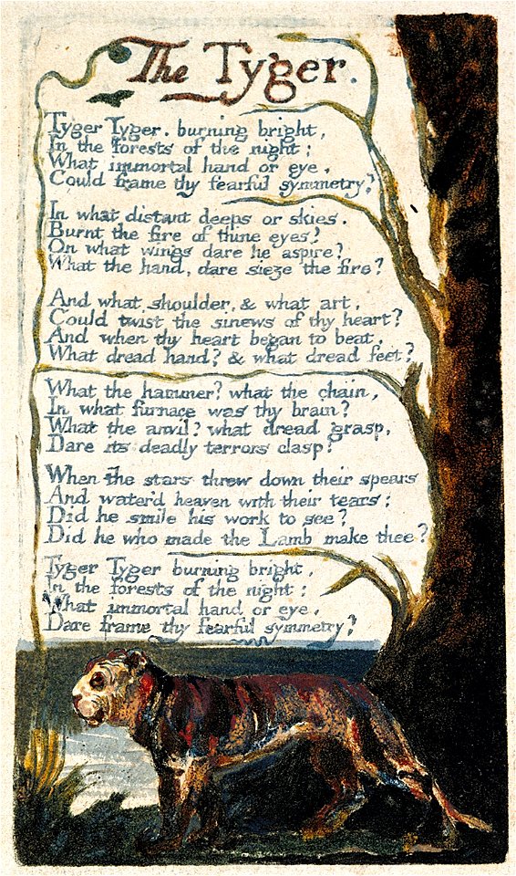 The Tyger YCBA 1794