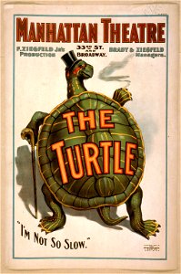 The turtle F. Ziegfeld Jr's production. LCCN2014636388