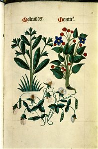 The Tudor pattern book MS. Ashmole 1504 22