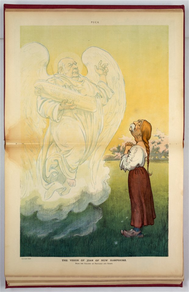 The vision of Joan of New Hampshire - Kep. LCCN2011645966