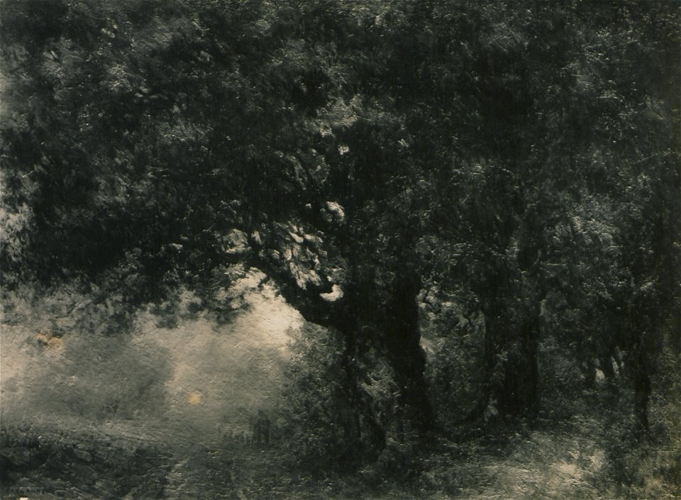 The wooded lane (HS85-10-24510)