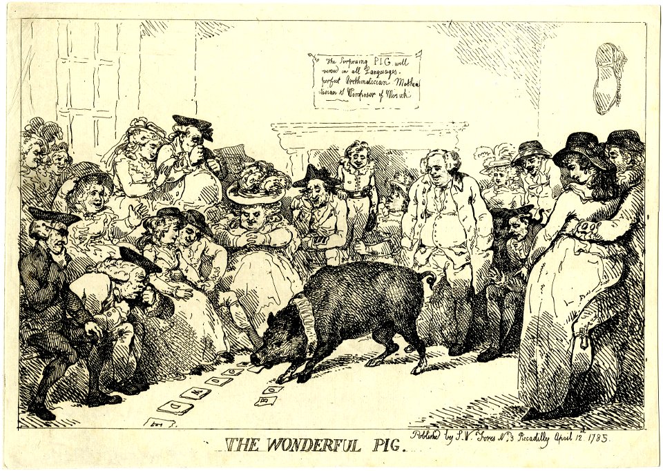 The wonderful pig. (BM 1868,0808.5428)