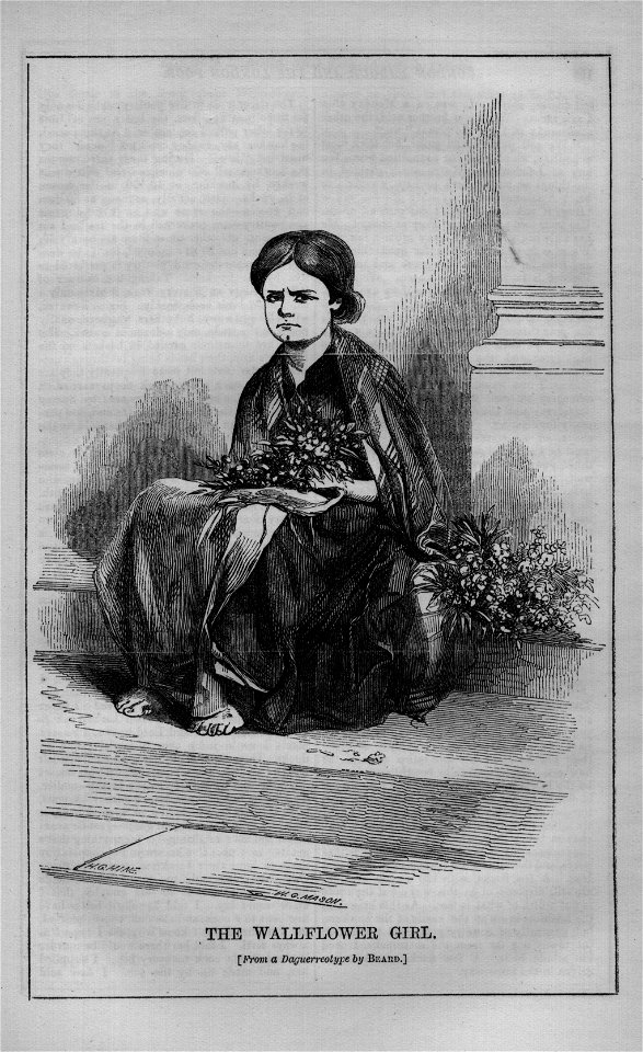 The Wallflower Girl