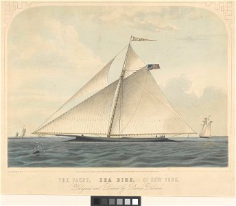 The Yacht Sea Bird, of New York RMG PY8715